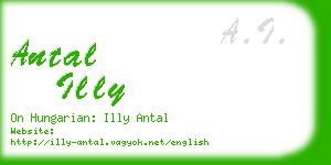 antal illy business card